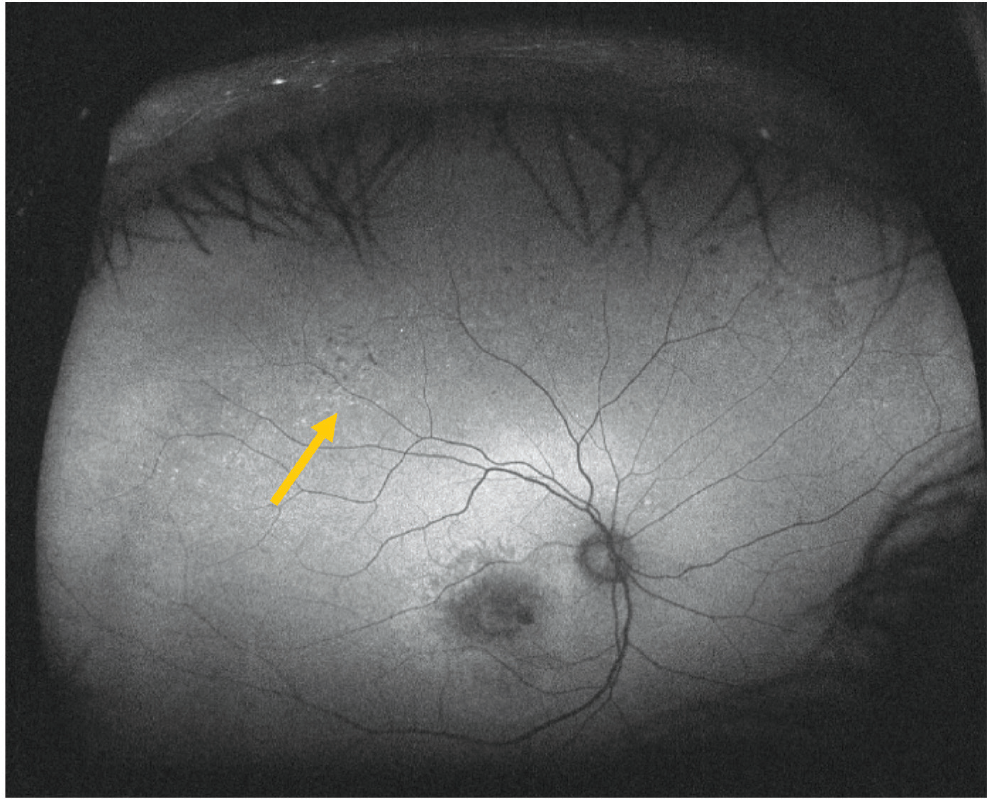 Figure 6