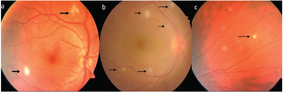 Figure 10