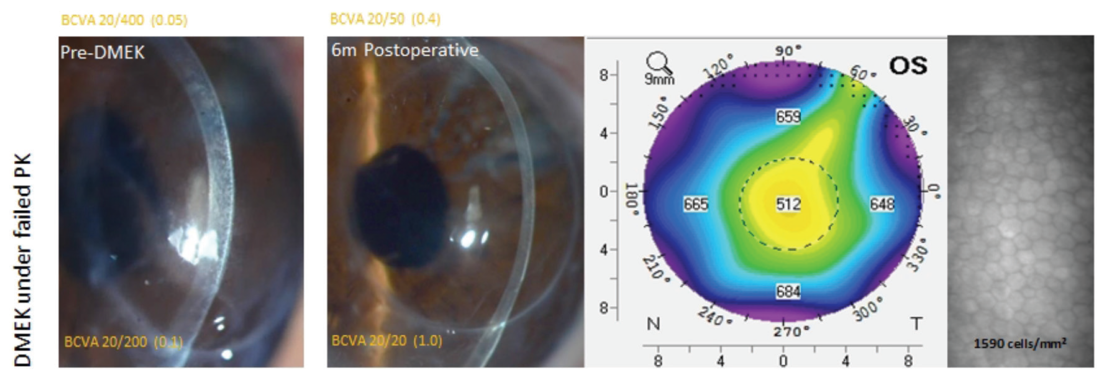 Figure 3a