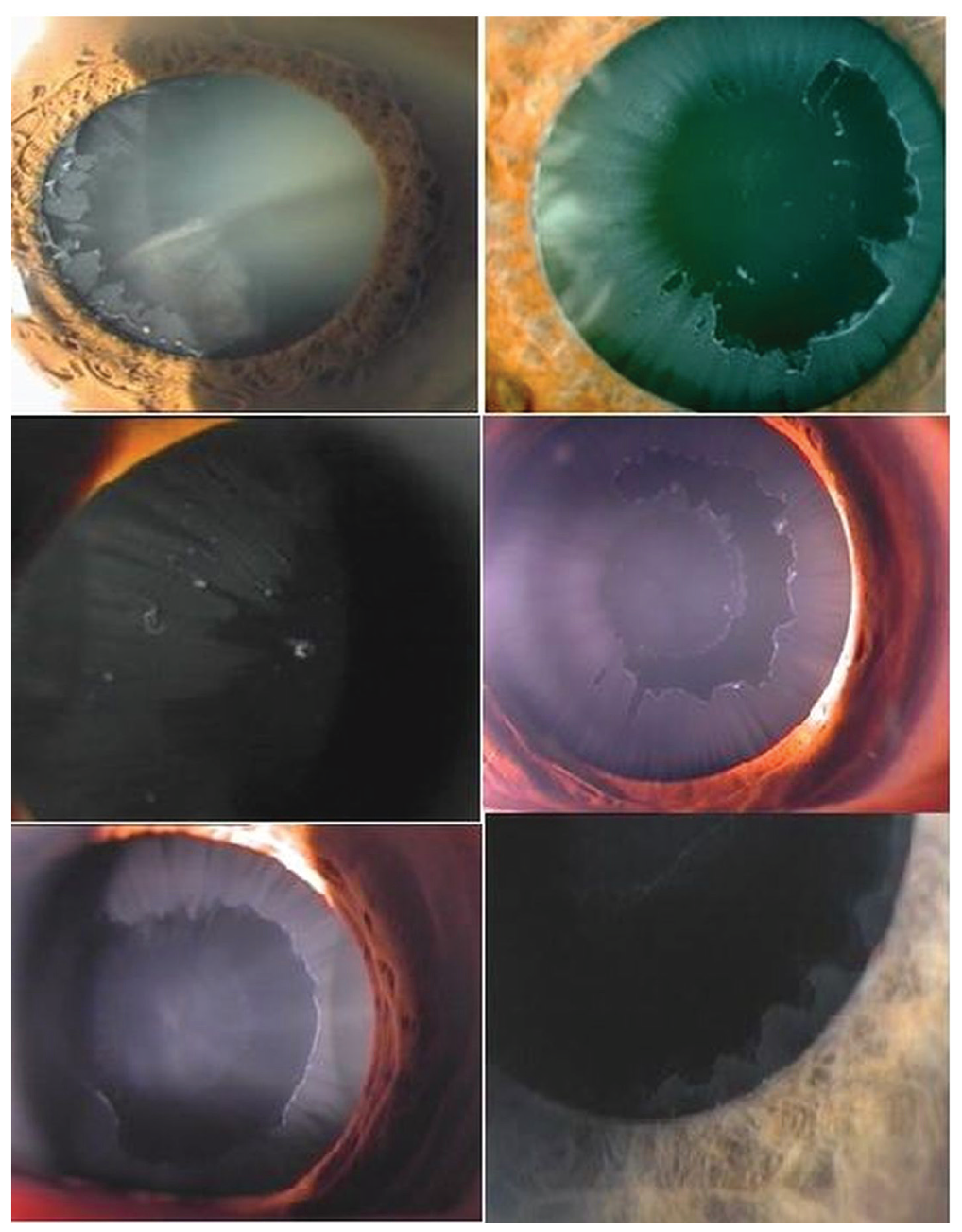 Figure 5