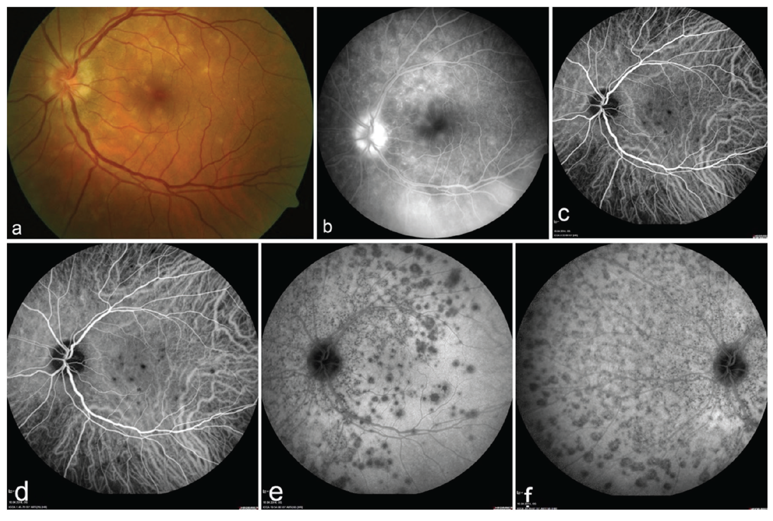 Figure 4