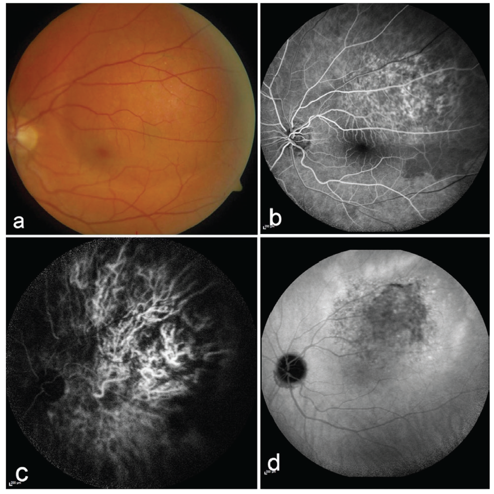 Figure 6
