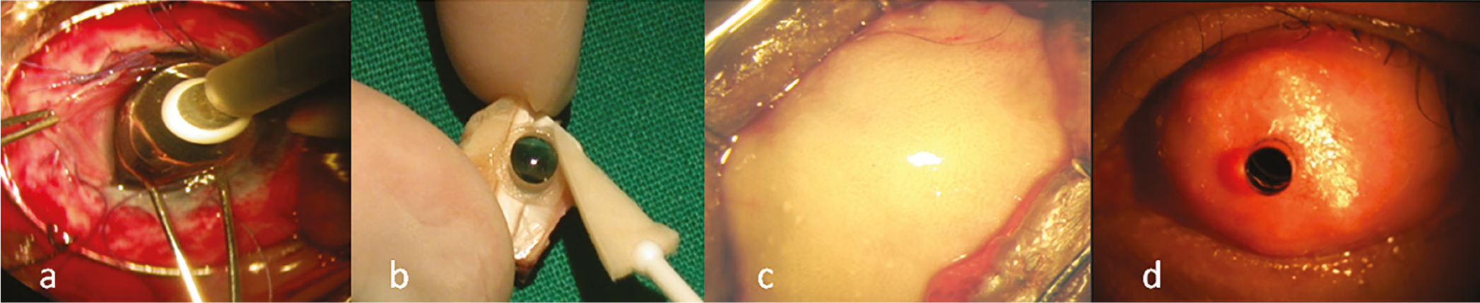 Figure 5
